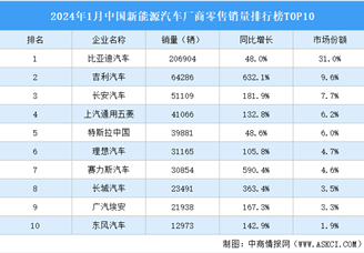 2024年1月中国新能源汽车厂商零售销量排行榜TOP10（附榜单）