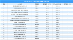 投資情報 · 遼寧篇 | 2023年度遼寧這50家企業工業土地投資規模最大