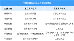 2024年中国生物质能发电装机量及企业布局情况预测分析（图）