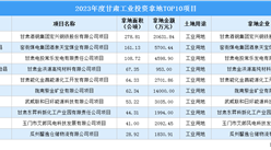 【項目投資跟蹤】2023年度甘肅工業投資TOP10項目盤點