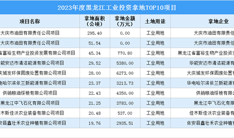 抓项目扩投资 2023年度黑龙江工业投资TOP10项目总投资近3亿