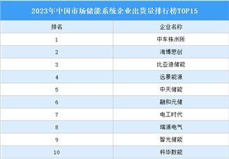 2023年中国市场储能系统企业出货量排行榜TOP15（附榜单）