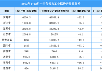 2023年全国各省市工业锅炉产量排行榜