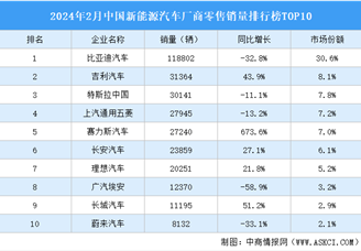2024年2月中国新能源汽车厂商零售销量排行榜TOP10（附榜单）