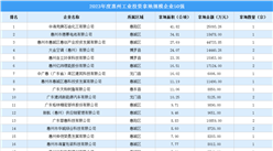 【工業投資情報】2023年度惠州工業土地投資50強企業摘走57宗地