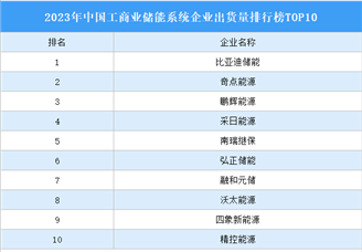 2023年中国工商业储能系统企业出货量排行榜TOP10（附榜单）