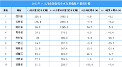 2023年全国各省市水力发电量排行榜