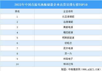 2023年中国直流电池舱储能企业出货量排行榜TOP10（附榜单）