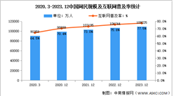 2023年中國互聯網網民結構狀況分析：網民規模達10.92億（圖）