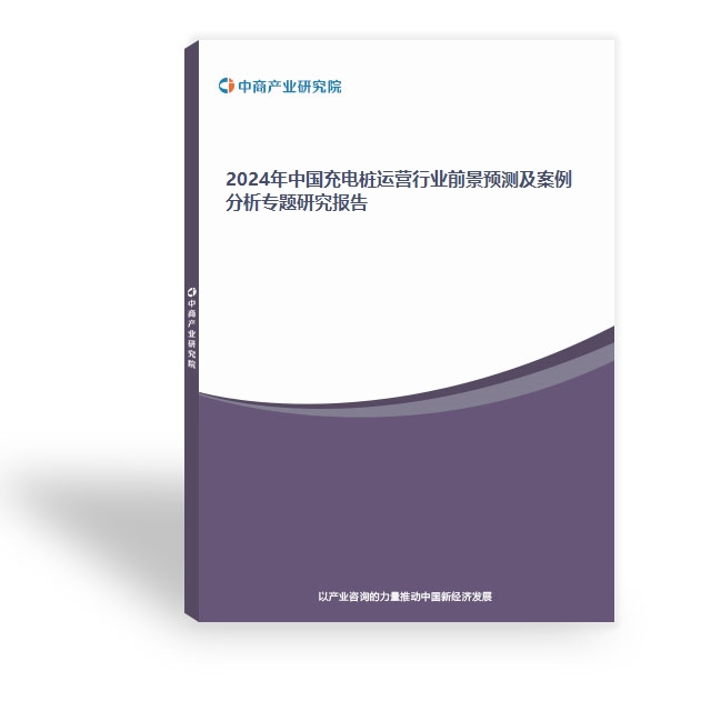 2024年中国充电桩运营行业前景预测及案例分析专题研究报告
