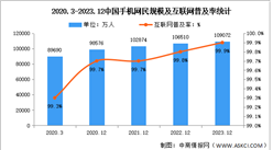 2023年中国互联网网民结构状况分析：手机网民规模达10.91（图）