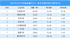 2024年3月中国新能源汽车厂商零售销量排行榜TOP10（附榜单）