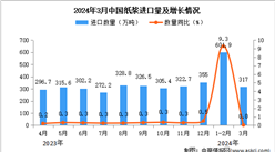 2024年3月中國紙漿進口數據統計分析：進口量317萬噸