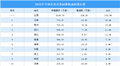 2023年中國各省市茶園種植面積排行榜（附榜單）
