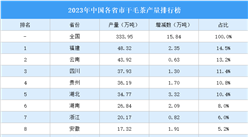 2023年中國各省市干毛茶產量排行榜（附榜單）