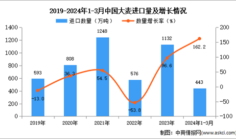 2024年1-3月中国大麦进口数据统计分析：进口量同比增长162.2%