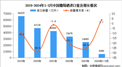 2024年1-3月中国葡萄酒进口数据统计分析：进口量同比增长3.7%