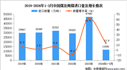 2024年1-3月中國煤及褐煤進口數據統計分析：進口量同比增長13.9%