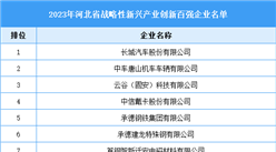 2023年河北省战略性新兴产业创新百强企业名单
