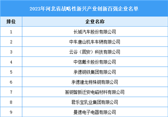 2023年河北省战略性新兴产业创新百强企业名单