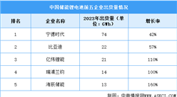 2024年中国储能电池出货量及企业出货量预测分析（图）