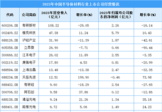 中国半导体材料行业业务布局与发展战略分析