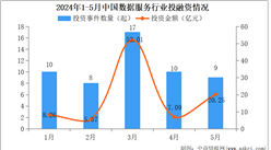 2024年1-5月中国数据服务行业投融资情况分析（图）