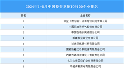 產業投資情報：2024年1-5月中國投資拿地TOP100企業排行榜（產業篇）