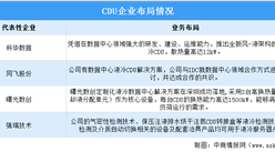 2024年中国液冷服务器市场现状及CDU企业布局情况预测分析（图）