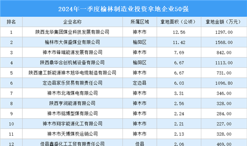 产业投资聚焦 | 2024年一季榆林城制造业土地投资20强企业汇总