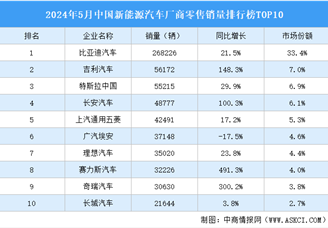 2024年5月中国新能源汽车厂商零售销量排行榜TOP10（附榜单）