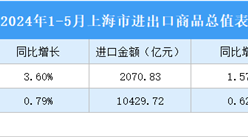 2024年1-5月上海市商品进出口数据统计：出口金额同比微涨（图）