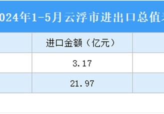 2024年1-5月云浮市進出口數(shù)據(jù)統(tǒng)計：出口金額同比增長40.53%（圖）