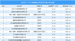 【招商引资成绩分享】2024年上半年邯郸制造业土地投资TOP50企业盘点