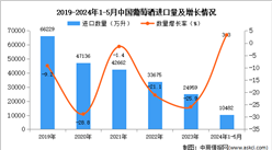 2024年1-5月中国葡萄酒进口数据统计分析：进口量10482万升