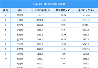 2024年1-5月中国城市出口值20强（附榜单）