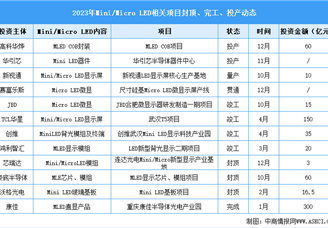 2024年全球Micro LED市場(chǎng)現(xiàn)狀預(yù)測(cè)分析：產(chǎn)業(yè)發(fā)展加速（圖）