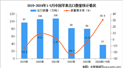 2024年1-5月中国苹果出口数据统计分析：出口量同比增长30.8%