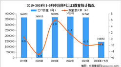 2024年1-5月中国茶叶出口数据统计分析：出口量小幅下降