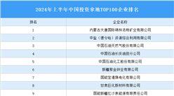 产业投资情报：2024年上半年中国投资拿地TOP100企业排行榜（产业篇）