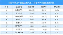 2024年6月中国新能源汽车厂商零售销量排行榜TOP10（附榜单）