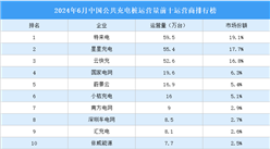 2024年6月中國公共充電樁運營量前十運營商排行榜（附榜單）