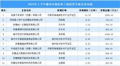 投资企业盘点 | 2024年上半年滁州制造业土地投资企业30强名单汇总（图）