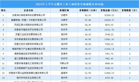 【工业投资盘点】2024年上半年安徽工业土地投资50强企业摘走82宗地