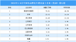 2024年1-6月中国电动摩托车销量前十企业（集团）排行榜（附榜单）