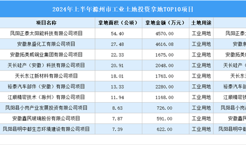 抓项目扩投资 2024年上半年度滁州工业投资TOP10项目土地投资近200公顷