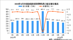 2024年6月中国初级形状的塑料进口数据统计分析：进口量222.6万吨
