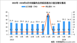 2024年6月中國箱包及類似容器出口數據統計分析：出口量同比增長0.1%