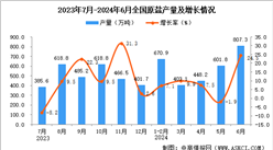 2024年6月全國原鹽產(chǎn)量數(shù)據(jù)統(tǒng)計分析