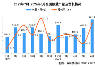 2024年6月全国原盐产量数据统计分析